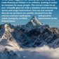 Pure Shilajit